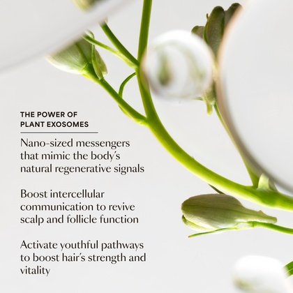 GRO Healthy Hair Starter Kit