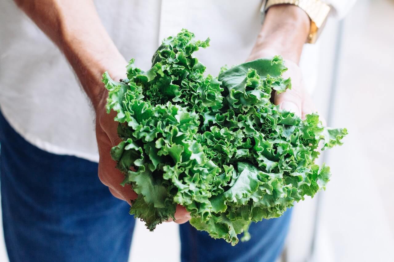 what is folic acid?