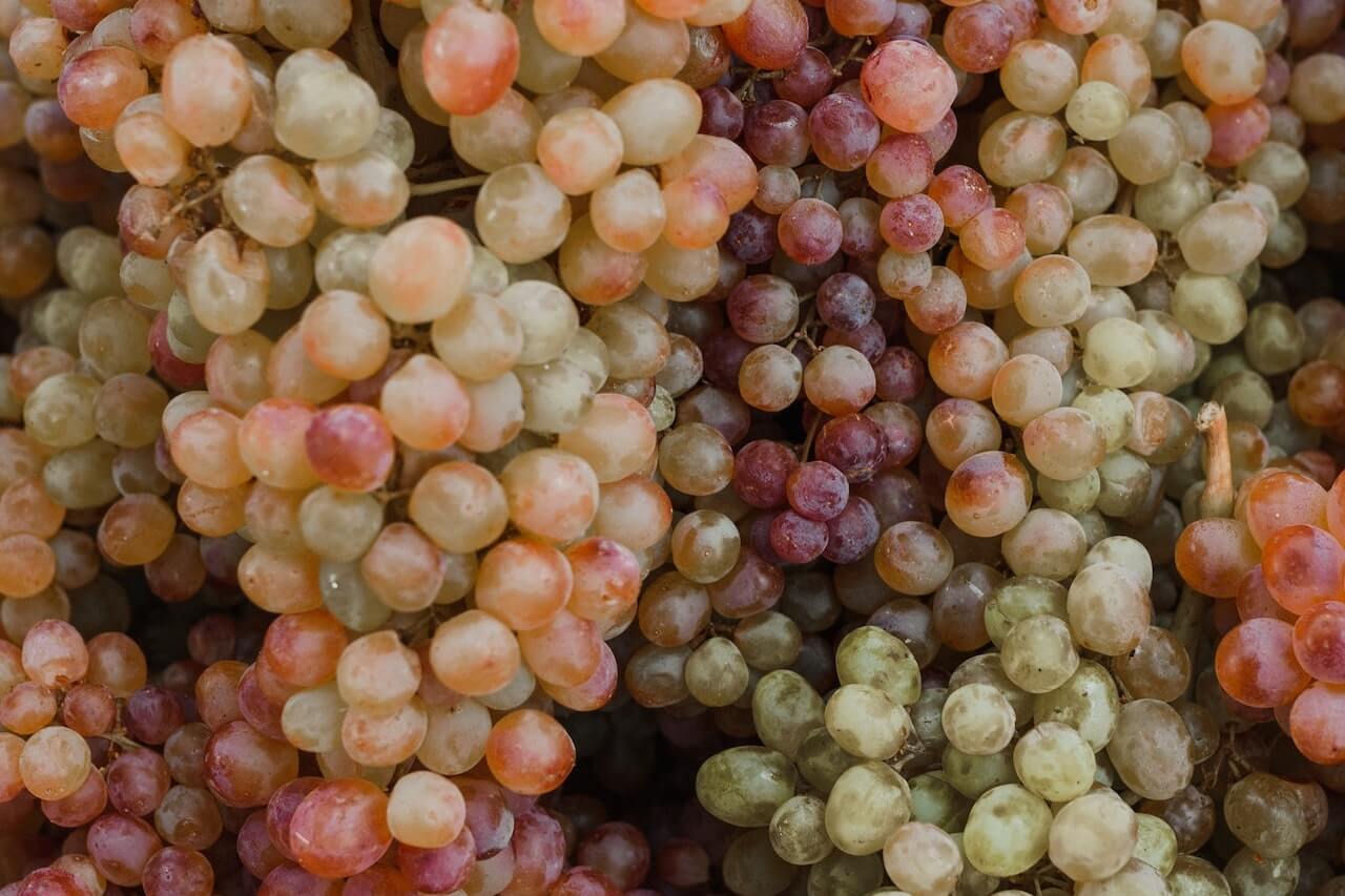 grapes