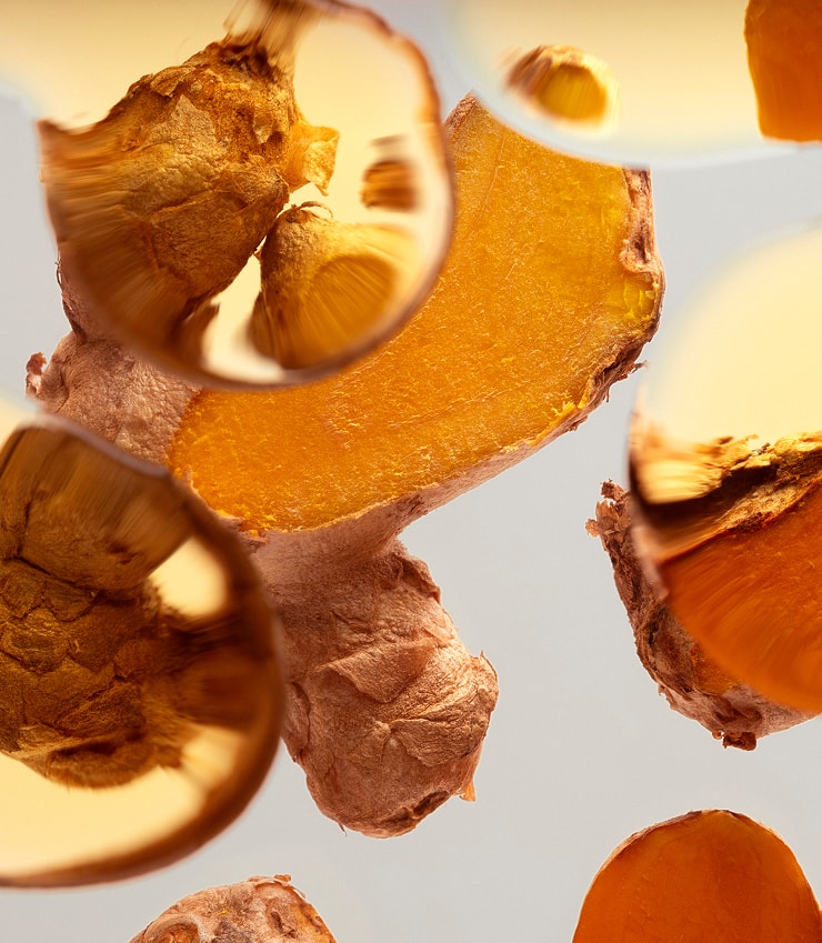 Plant Exosomes