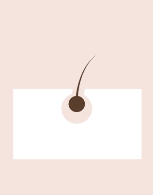 presentation image