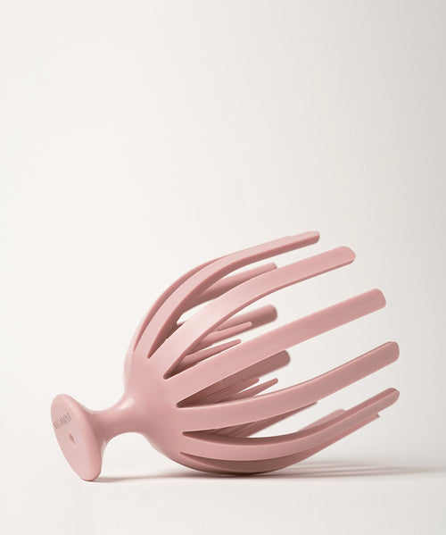 Scalp Scrubber